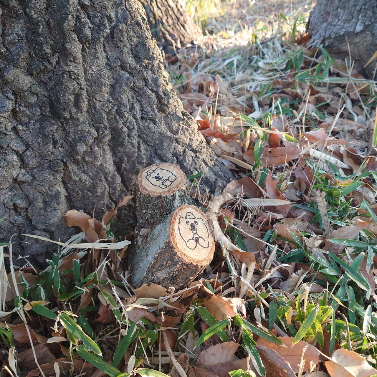 金胎寺山 初日の出