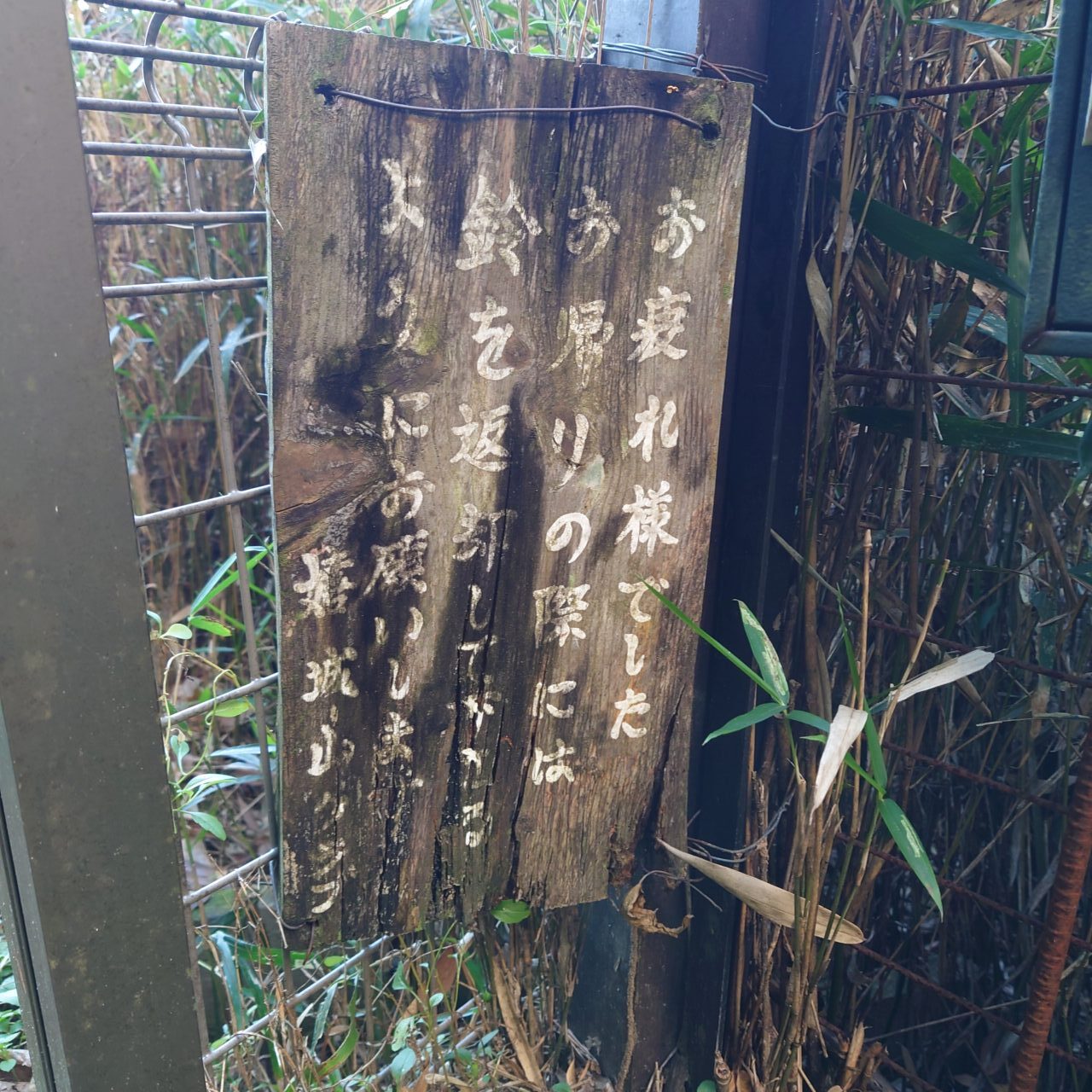 金胎寺山 初日の出