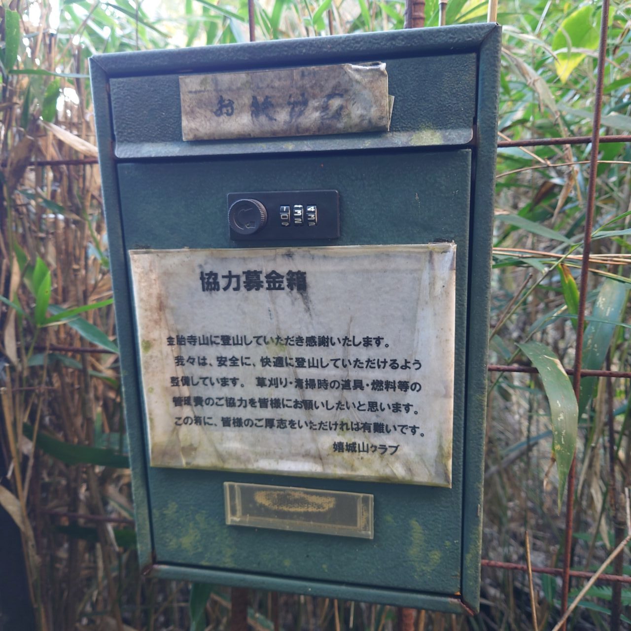 金胎寺山 初日の出