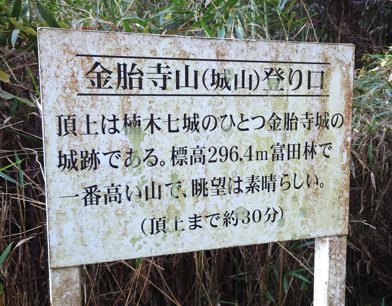 金胎寺山 初日の出