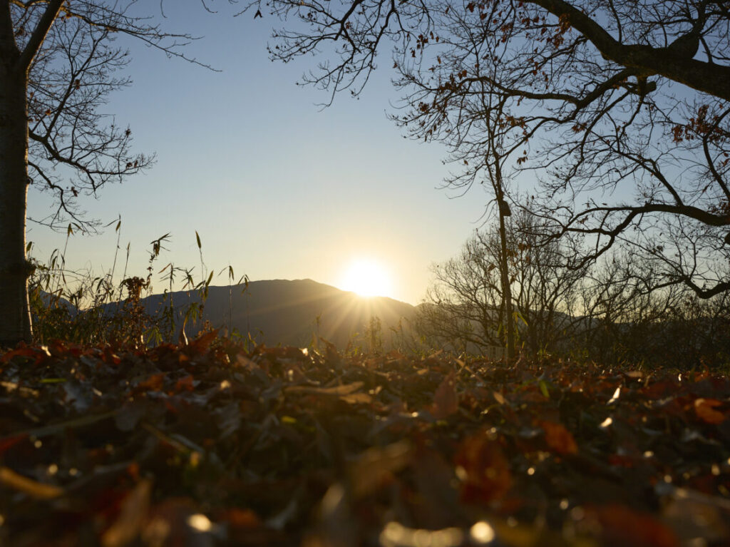 金胎寺山 初日の出