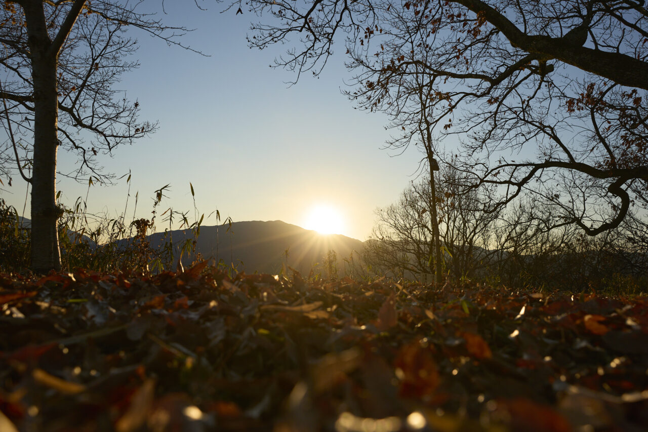 金胎寺山 初日の出