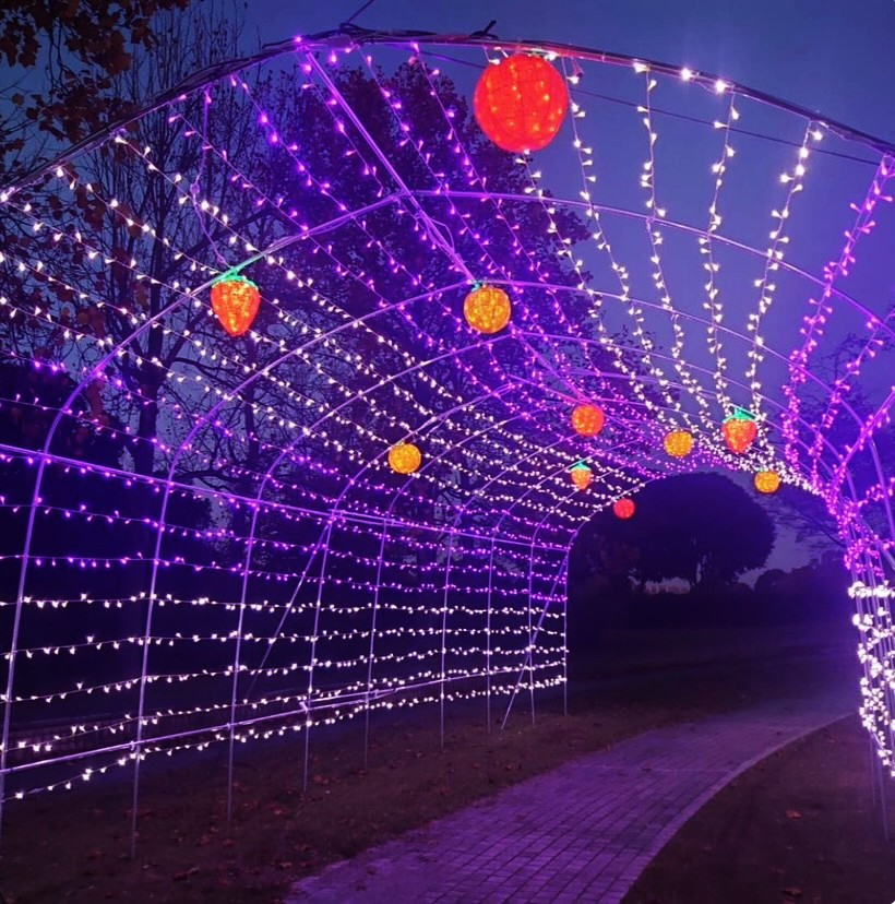 寺ケ池公園イルミネーション2025