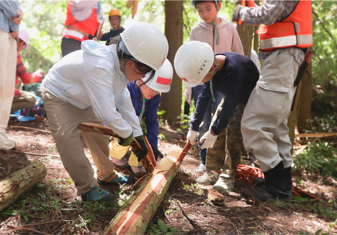 河内長野市J-クレジット