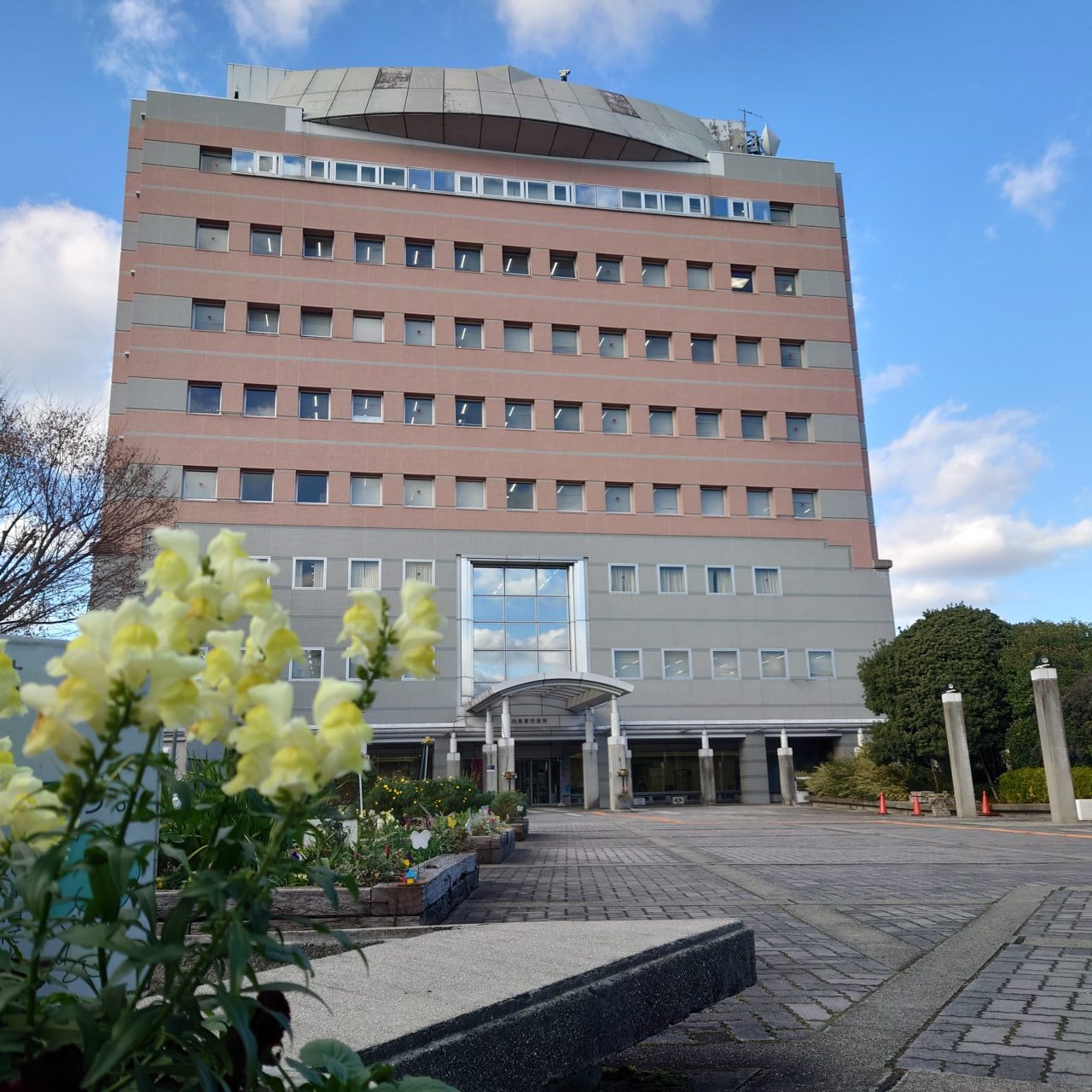 河内長野市役所1階リニューアル