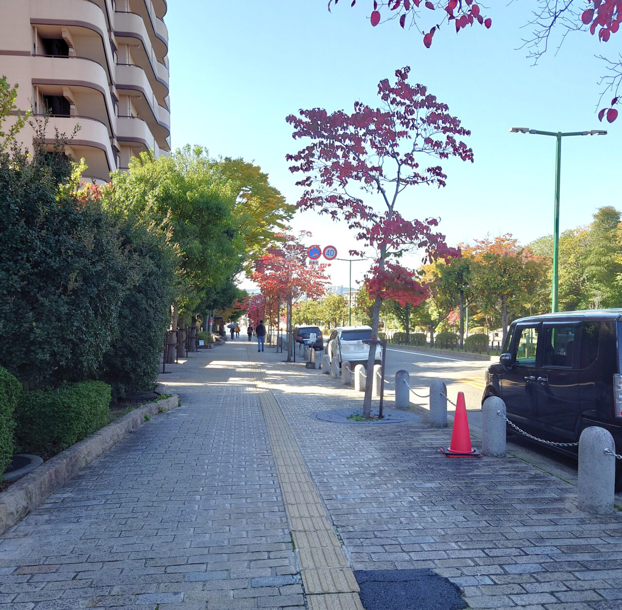 ミニ万博in金剛開催レポート