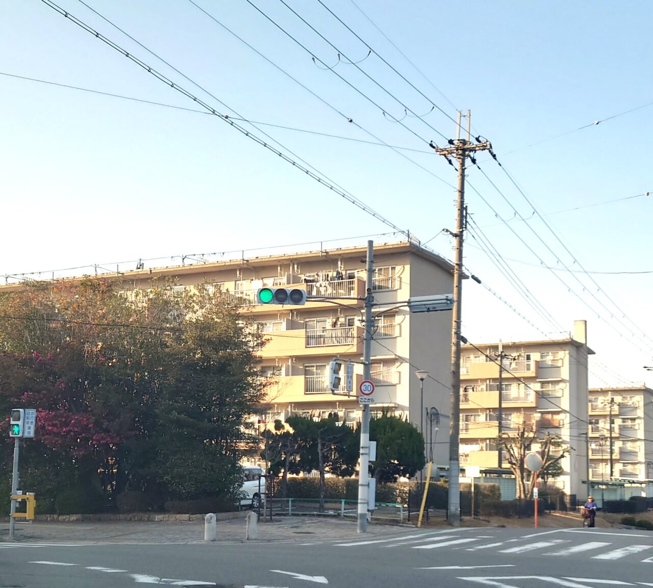 ミニ万博in金剛開催レポート