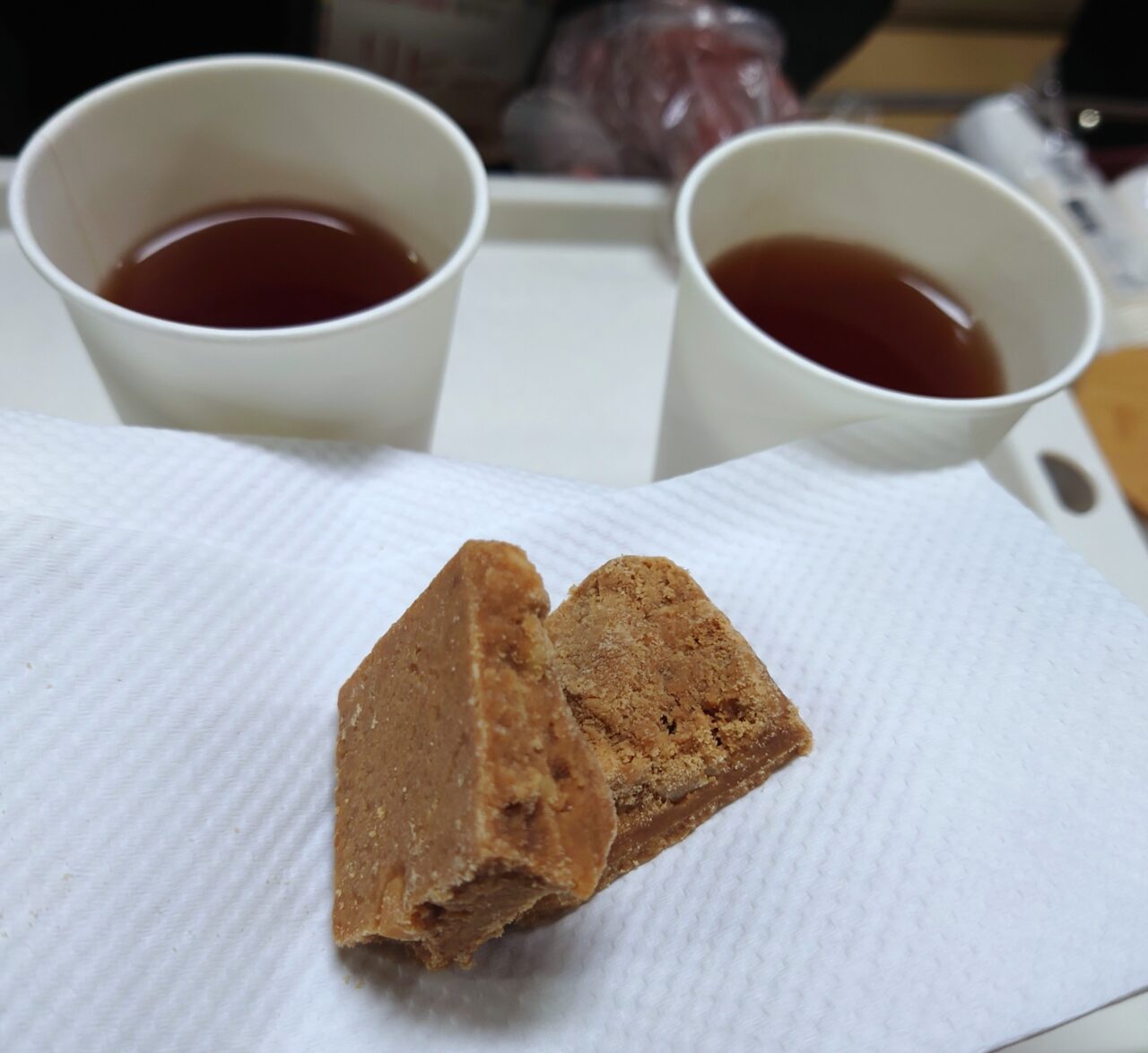 ミニ万博in金剛開催レポート