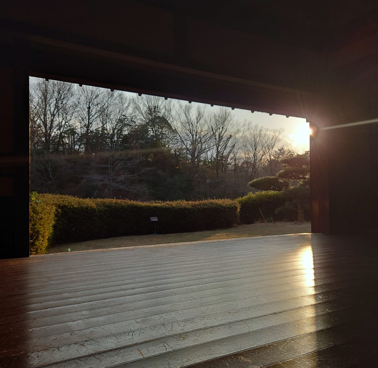 錦織公園1月イベント