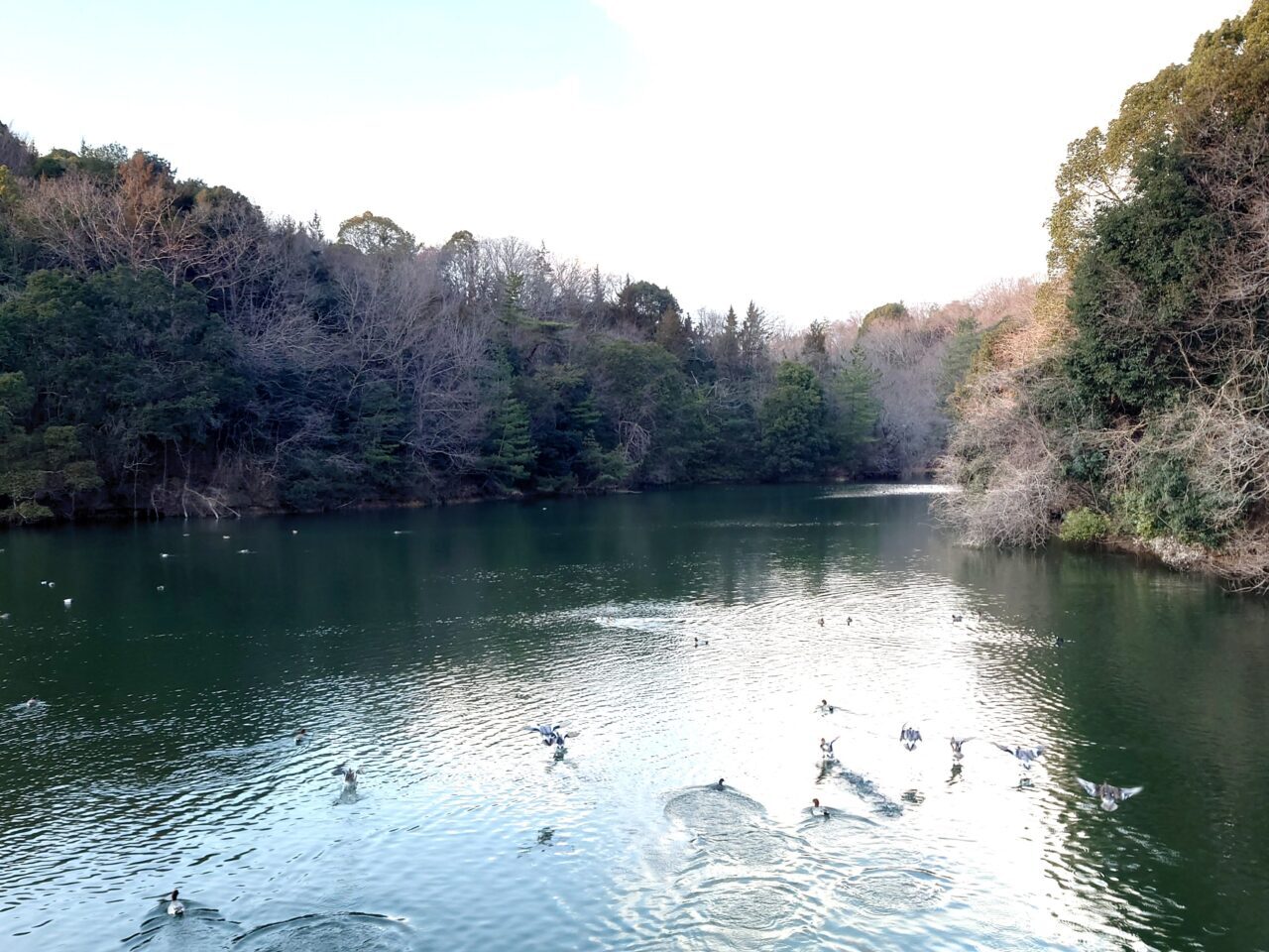 錦織公園1月イベント