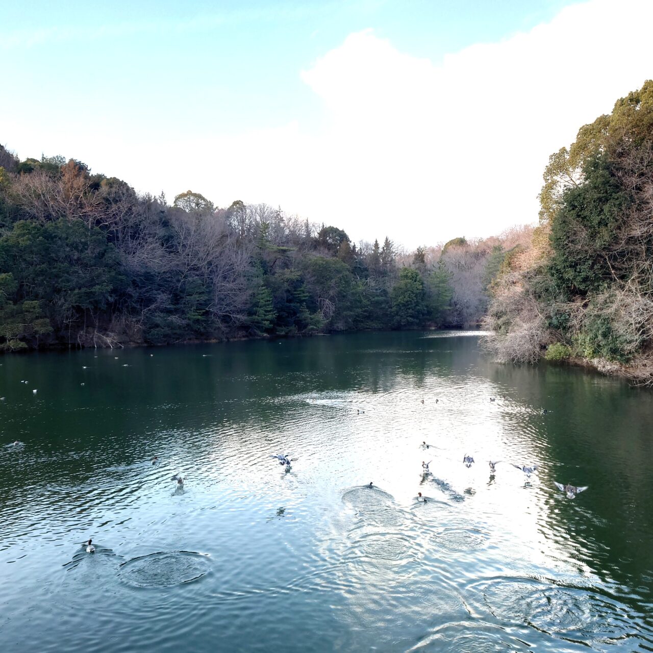 錦織公園1月イベント