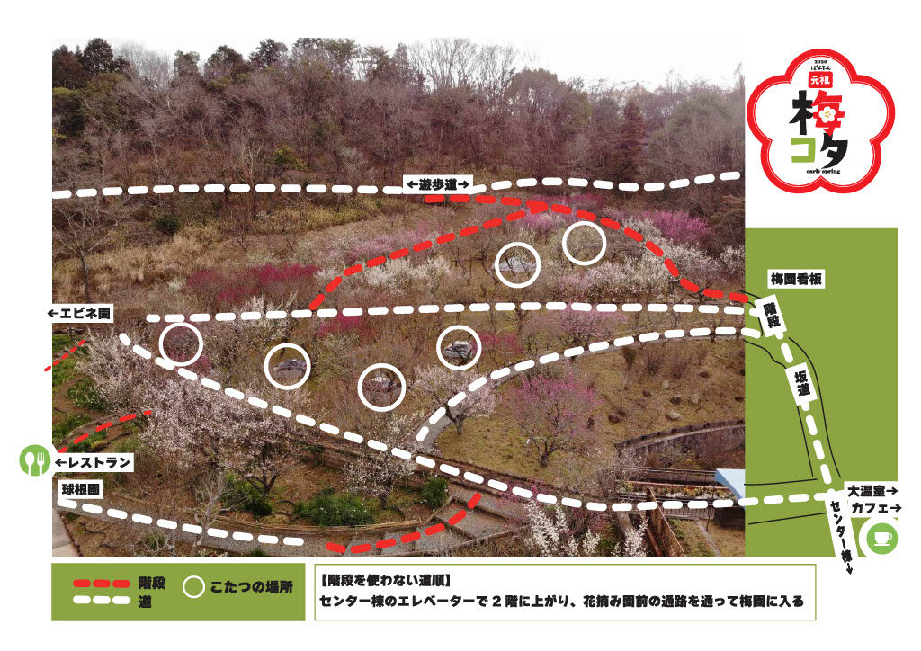 花の文化園梅コタ2026