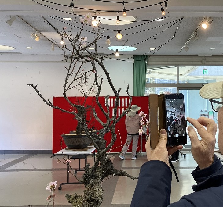 花の文化園梅コタ2026