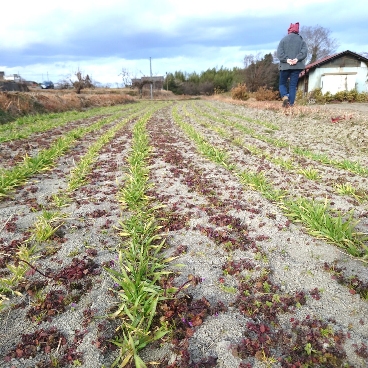 かわちながnora お話会