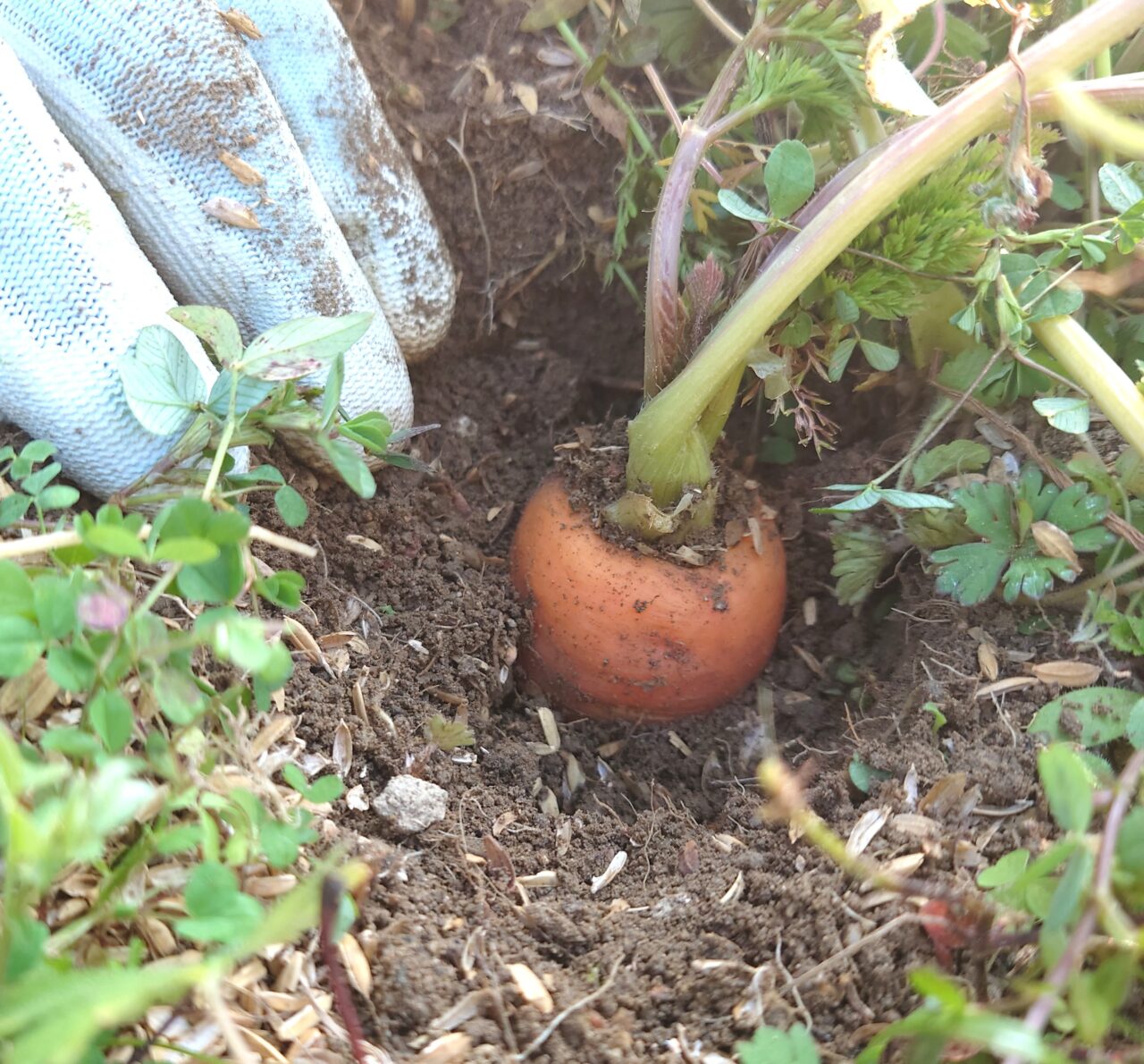 かわちながnora お話会