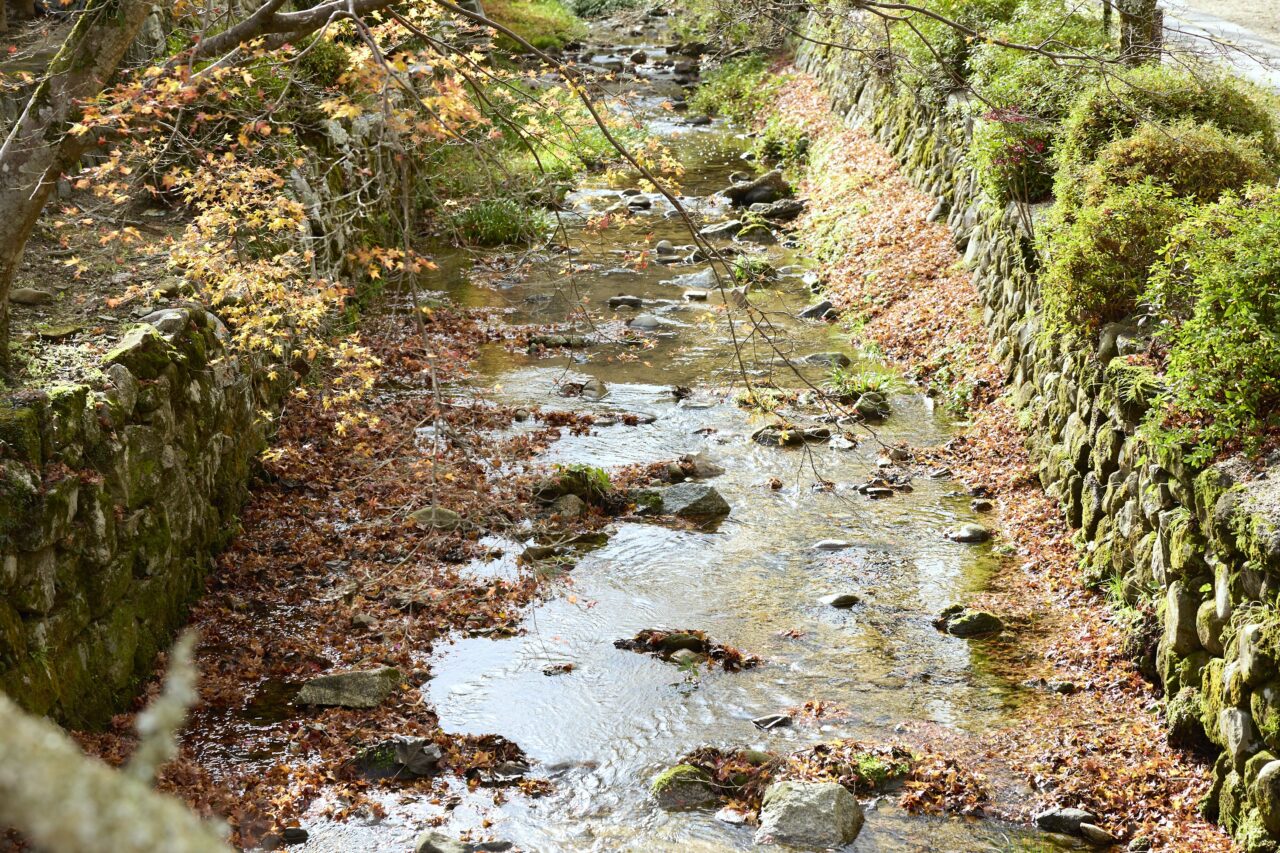 関西城郭サミットin烏帽子形城