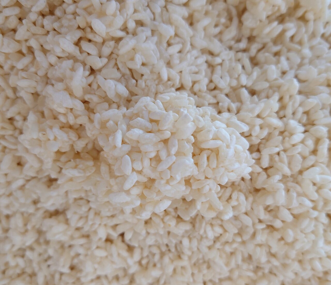 発酵教室meets。@東雲しょくどう