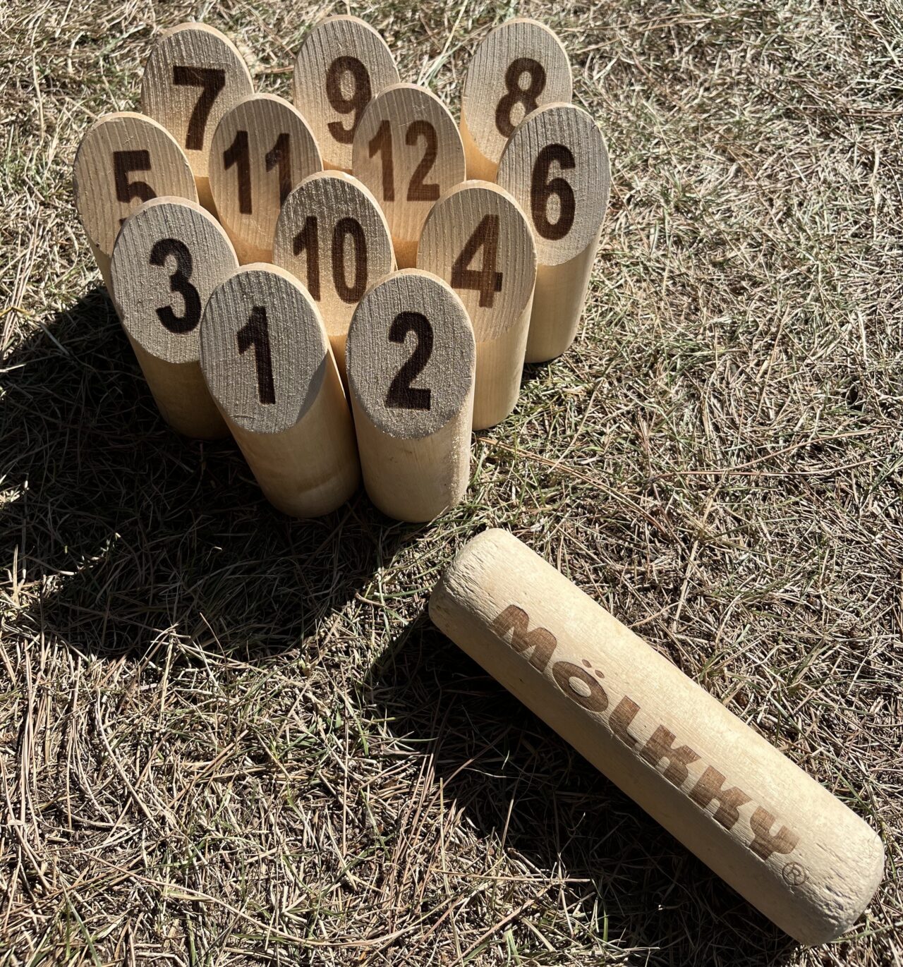 奥河内さくら公園 ヤーンボミング＆モルック大会