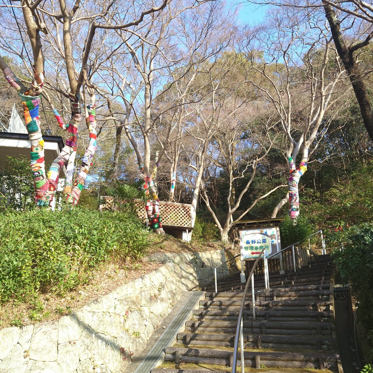 奥河内さくら公園 ヤーンボミング＆モルック大会