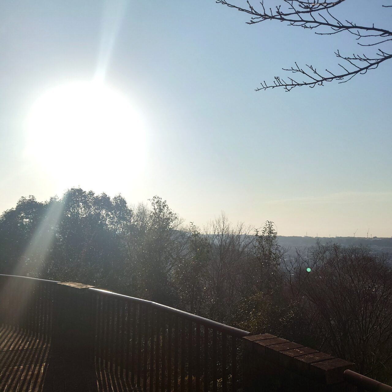 奥河内さくら公園 ヤーンボミング＆モルック大会