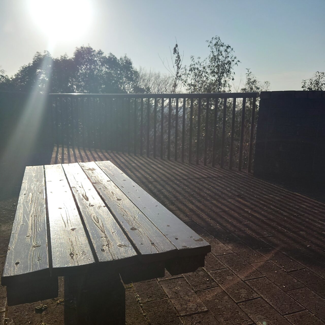 奥河内さくら公園 ヤーンボミング＆モルック大会