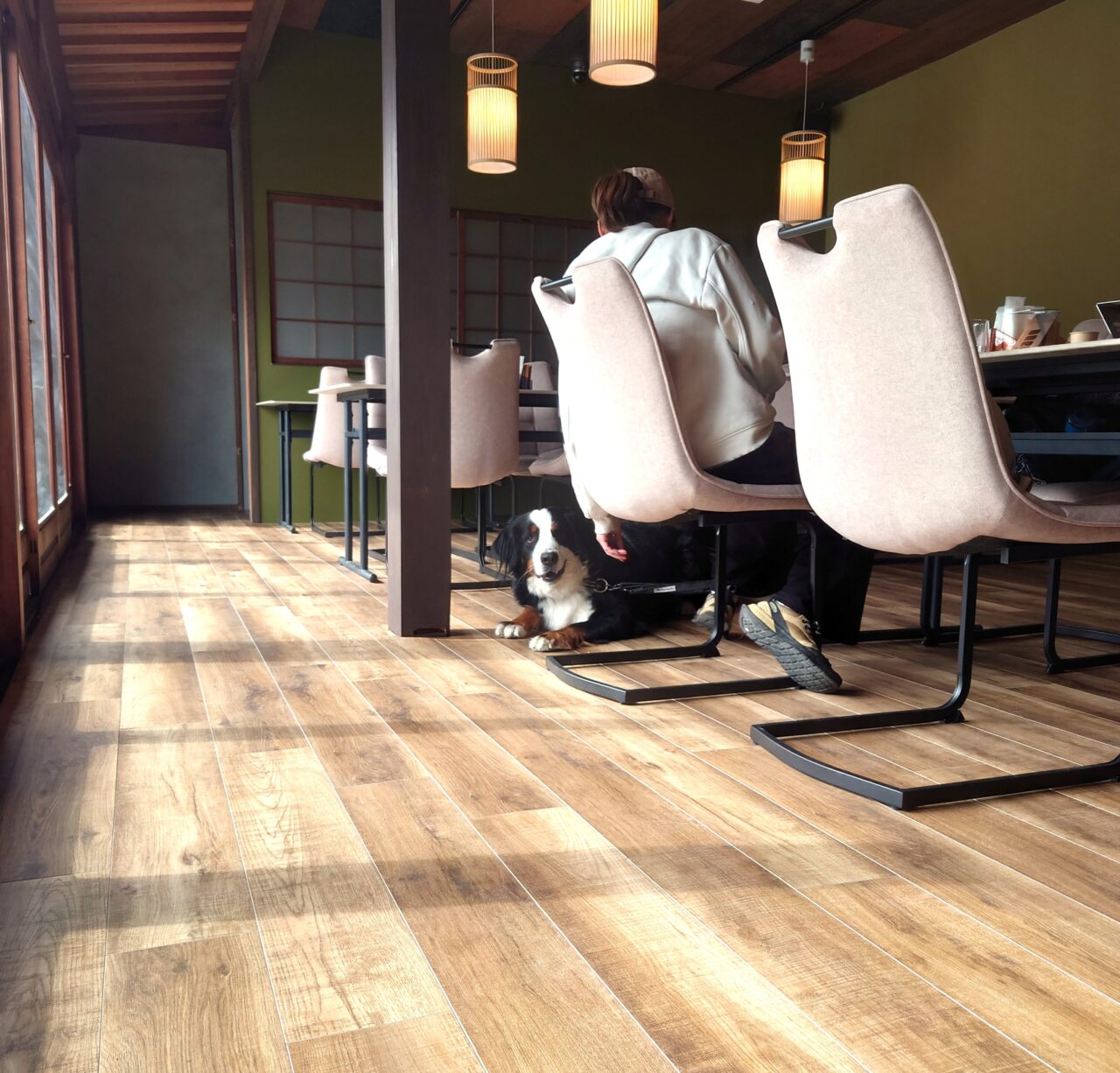 Goodクマイル移転オープン