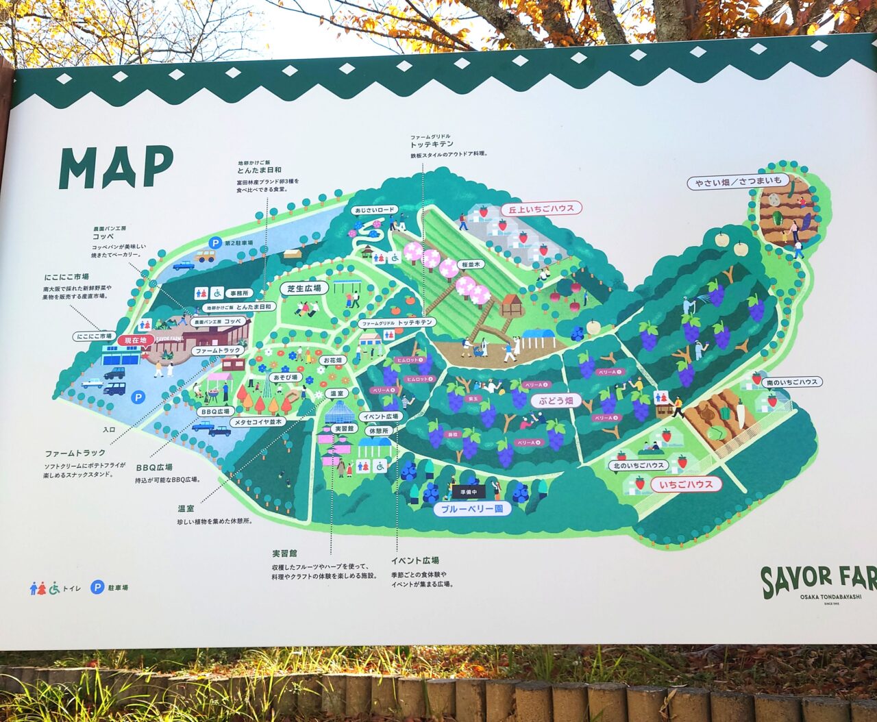 嬉々日和り in サバーファーム