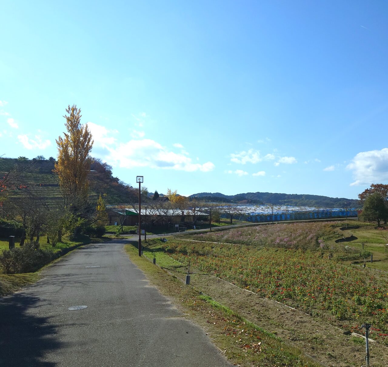 嬉々日和り in サバーファーム