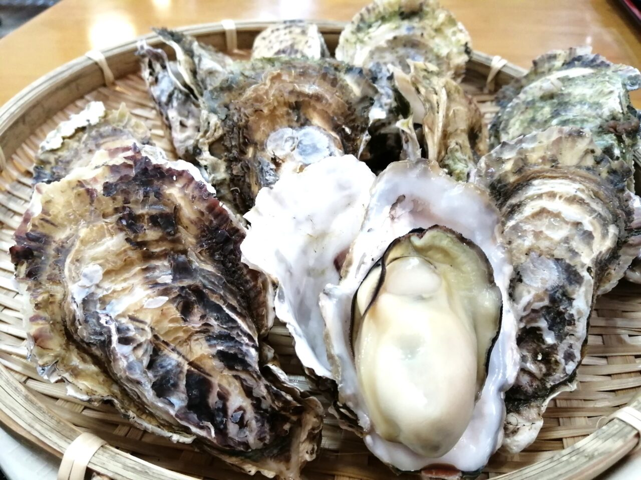 河内長野 春の駅前まちびらき2026