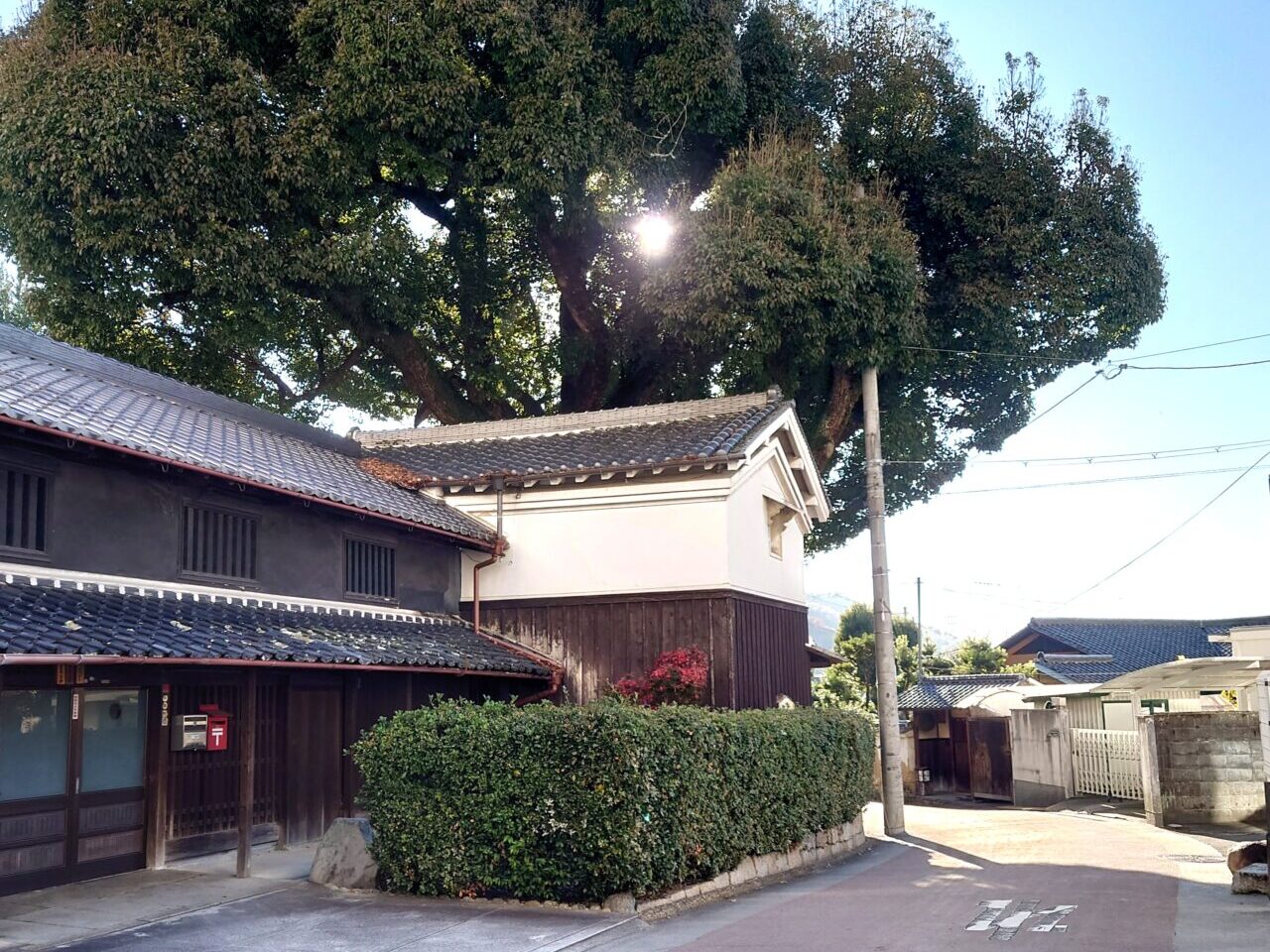 河内長野 春の駅前まちびらき2026