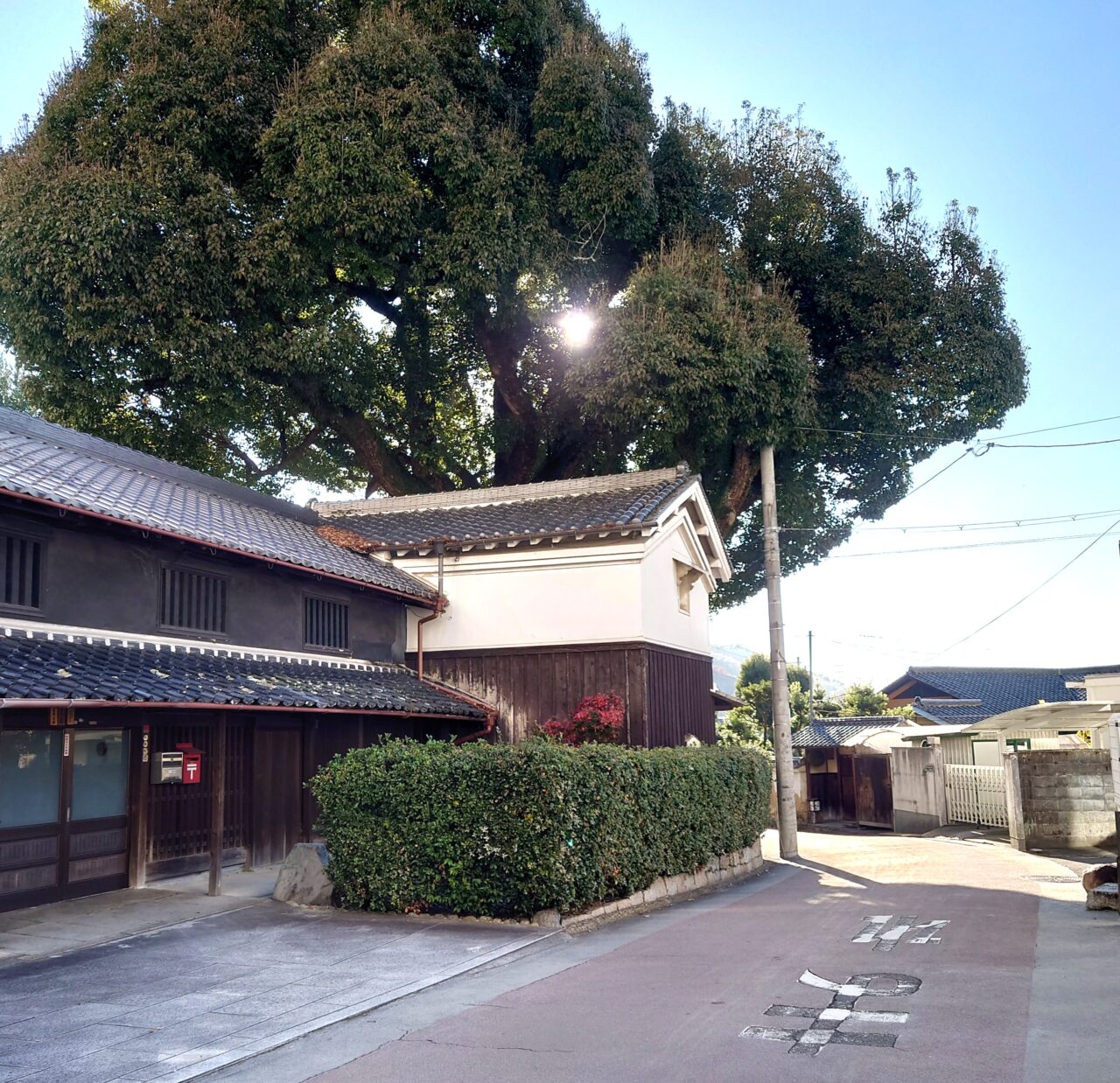 河内長野 春の駅前まちびらき2026