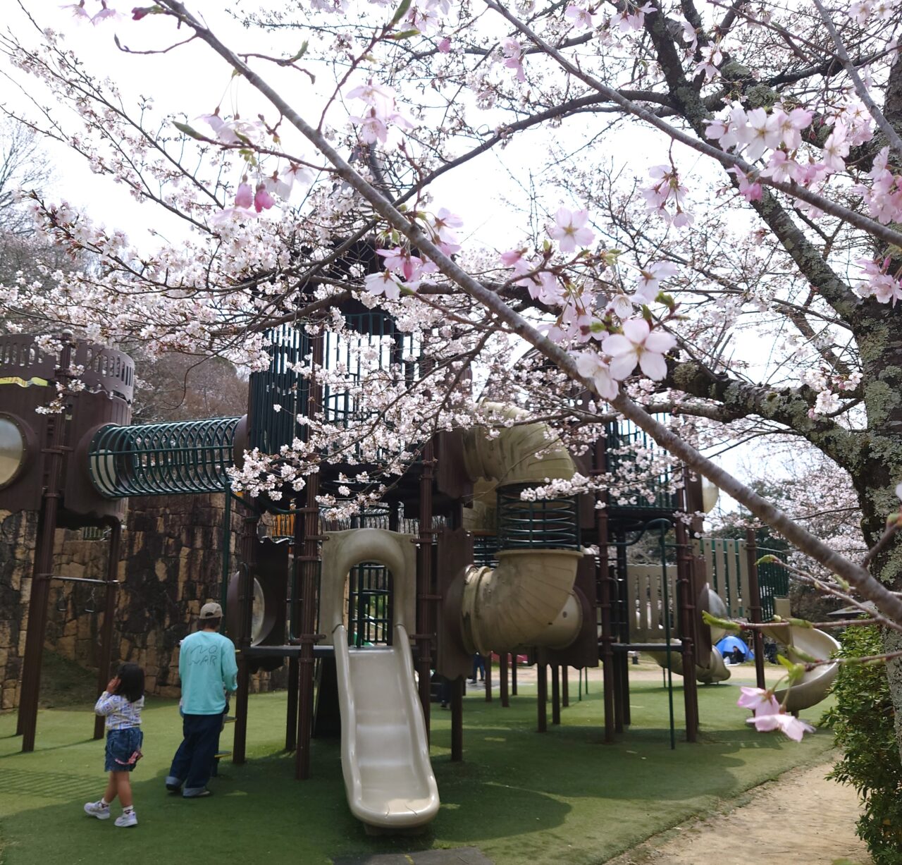 公園散歩ながの春号