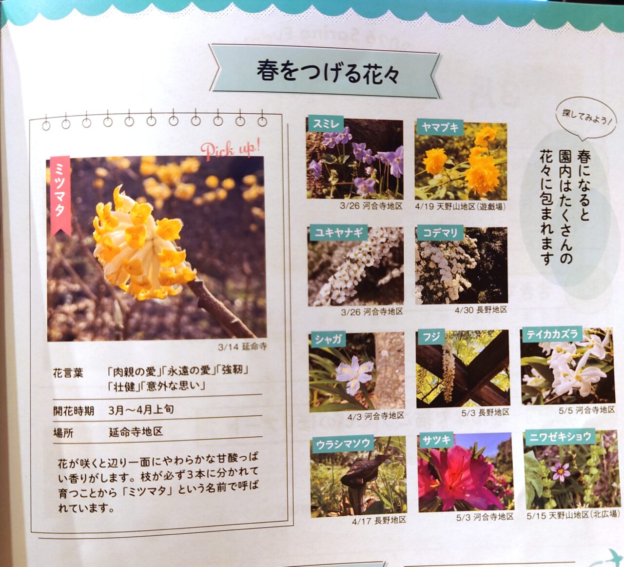 公園散歩ながの春号