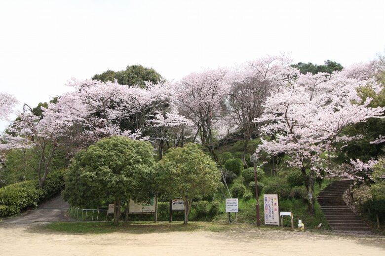 公園散歩ながの春号