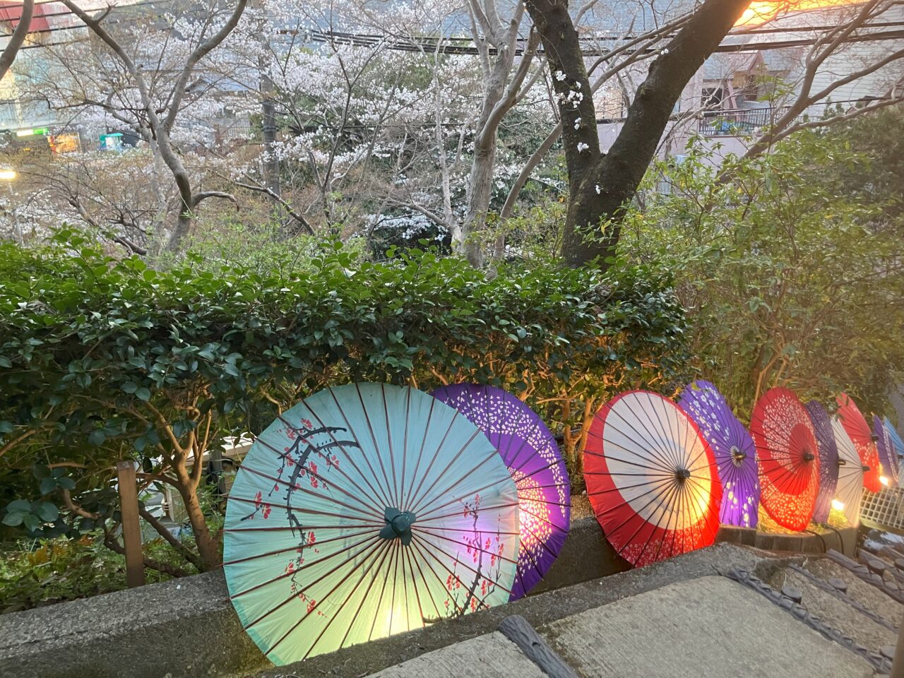 公園散歩ながの春号