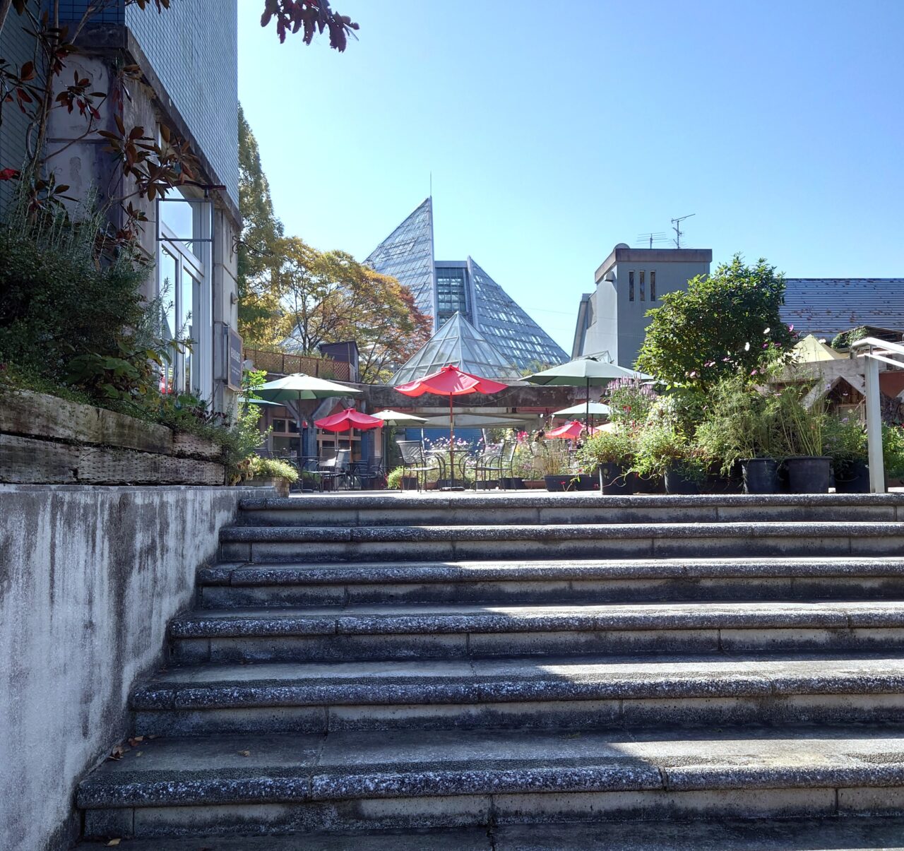 第2回 サトスポスポーツチャレンジ