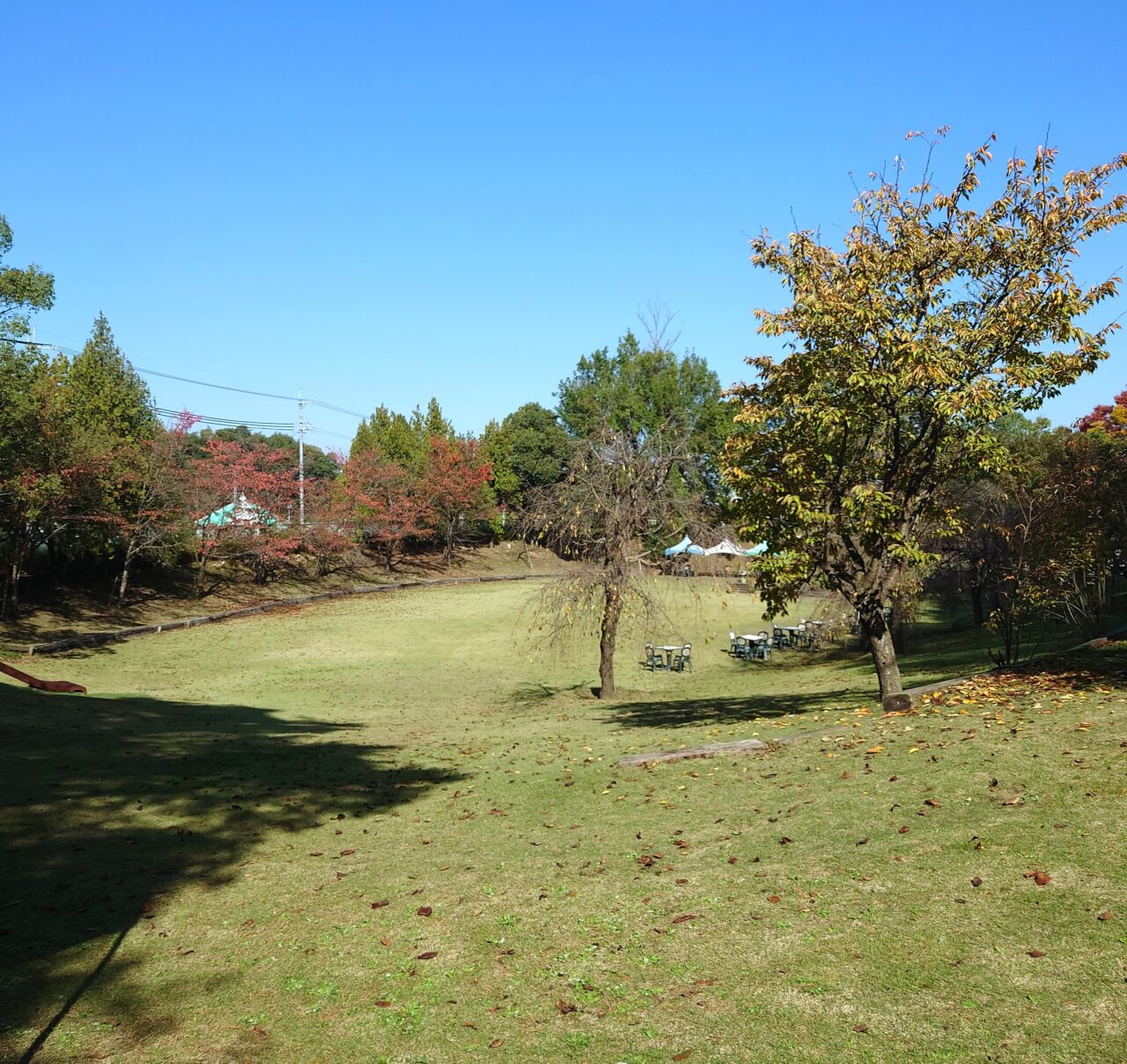 第2回 サトスポスポーツチャレンジ