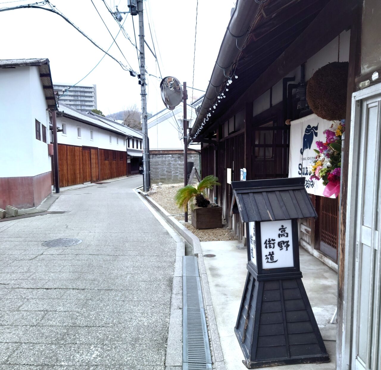 創作タイ料理店「ORIENTAL CAFE DINING SuuSuu（スースー）」