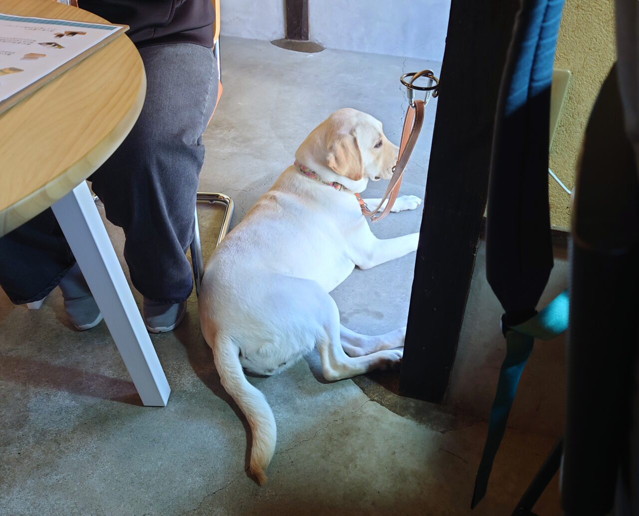 LaLa（古民家カフェ＆自家焙煎COFFEE）