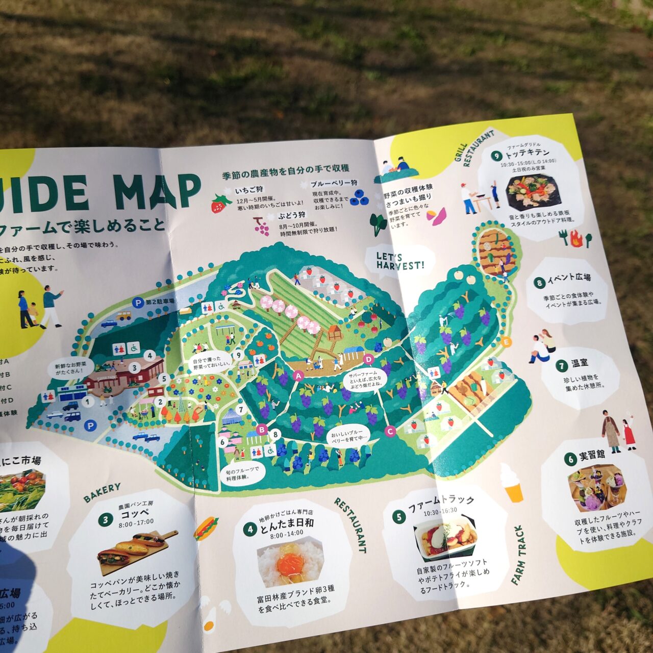 Farm Park Market vol.1 × 音楽祭