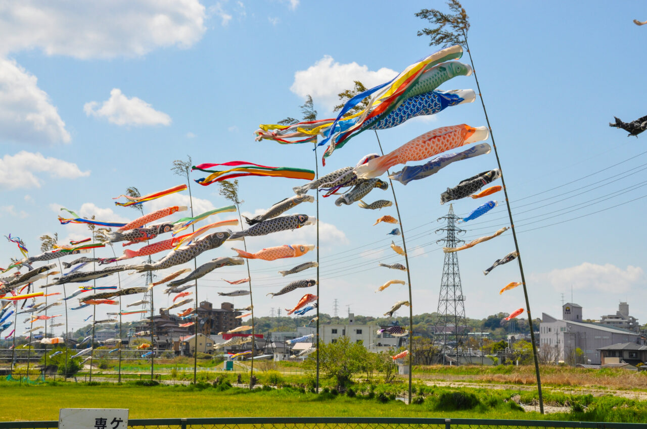 石川こいのぼり