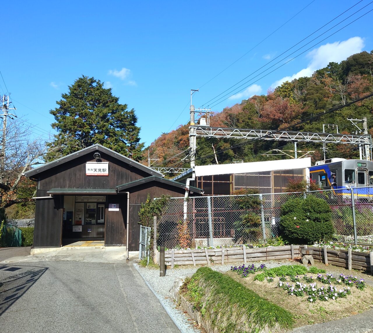 楠木正成ゆかりの地を桜でめぐる