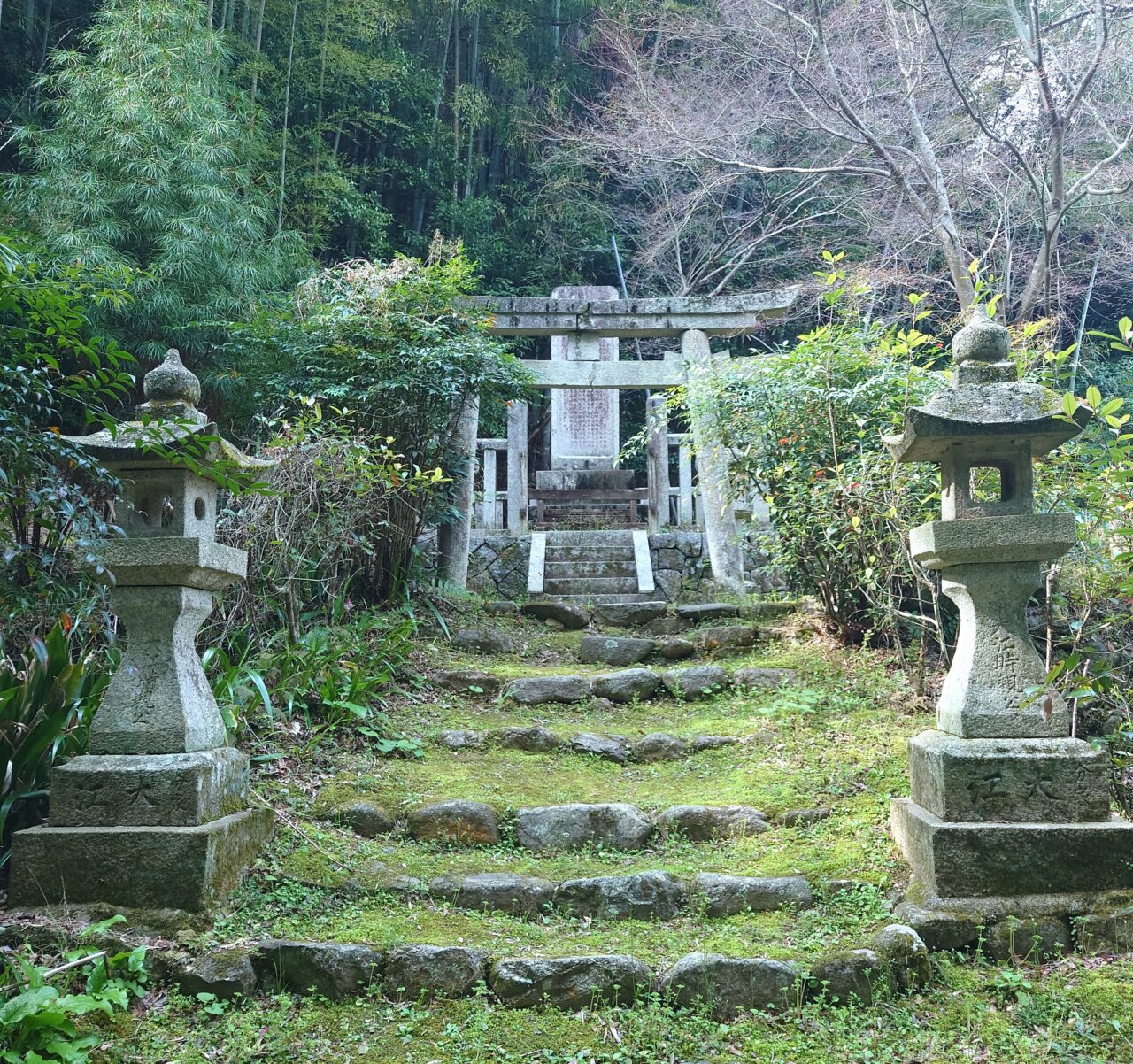 楠木正成ゆかりの地を桜でめぐる
