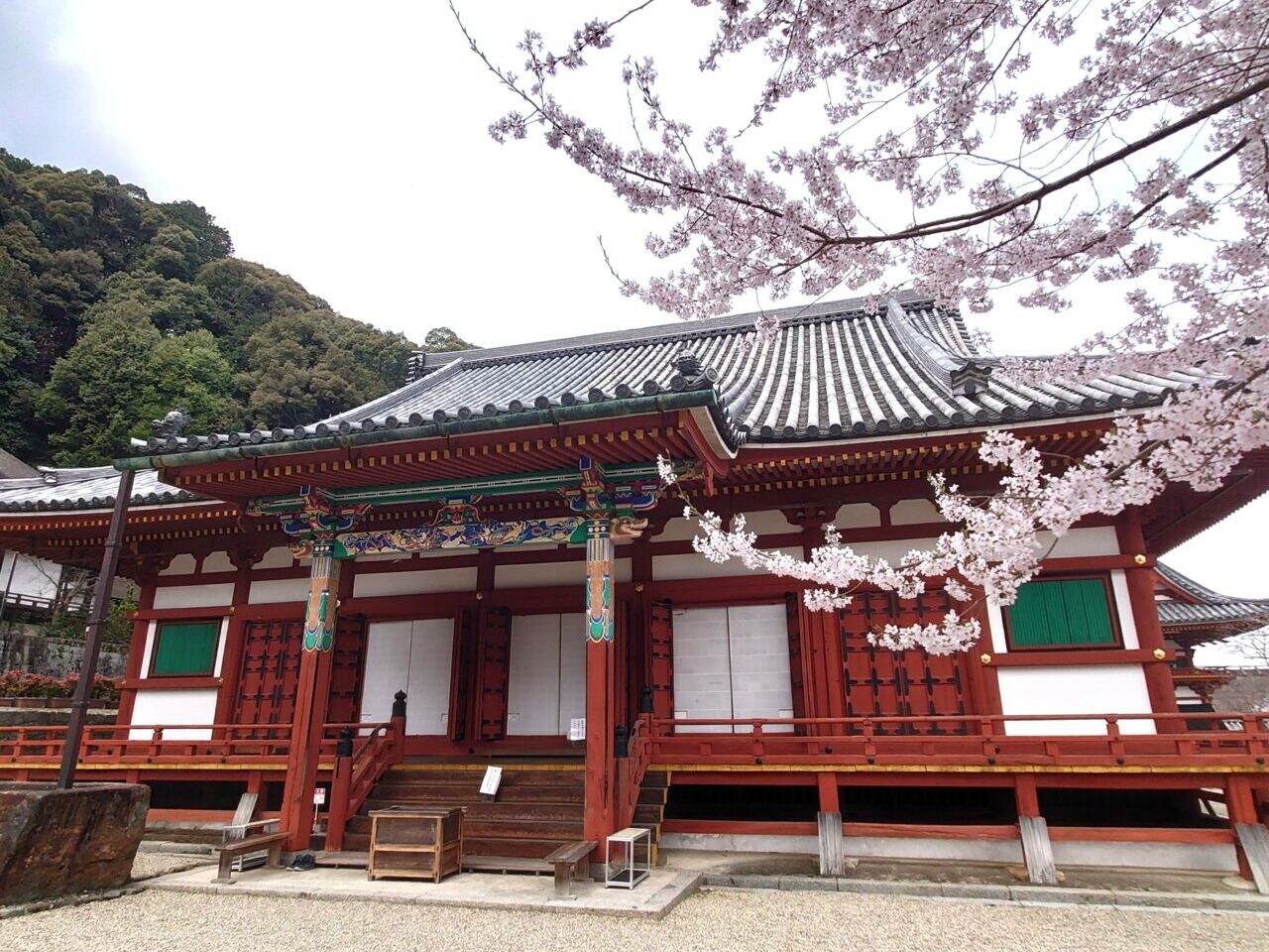 楠木正成ゆかりの地を桜でめぐる