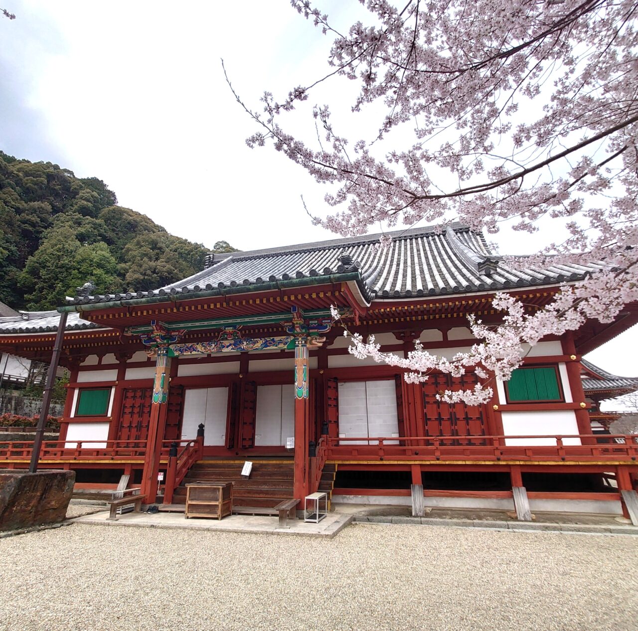 楠木正成ゆかりの地を桜でめぐる