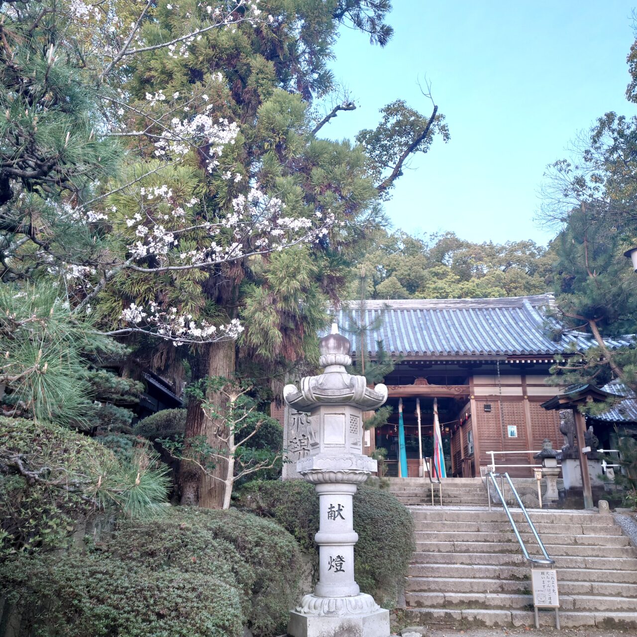 美具久留御魂神社ご来光