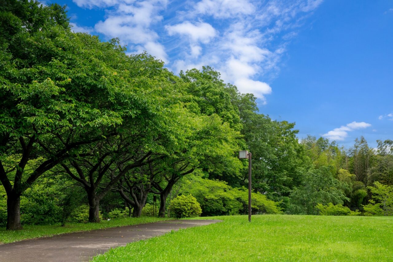 第33回富田林市緑化フェア＆植木市