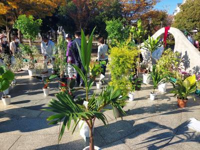 第33回富田林市緑化フェア＆植木市