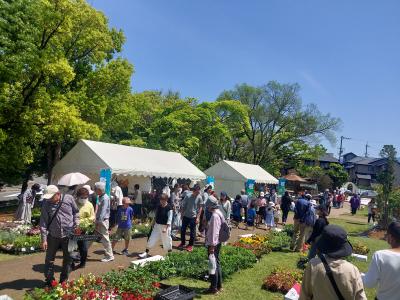 第33回富田林市緑化フェア＆植木市