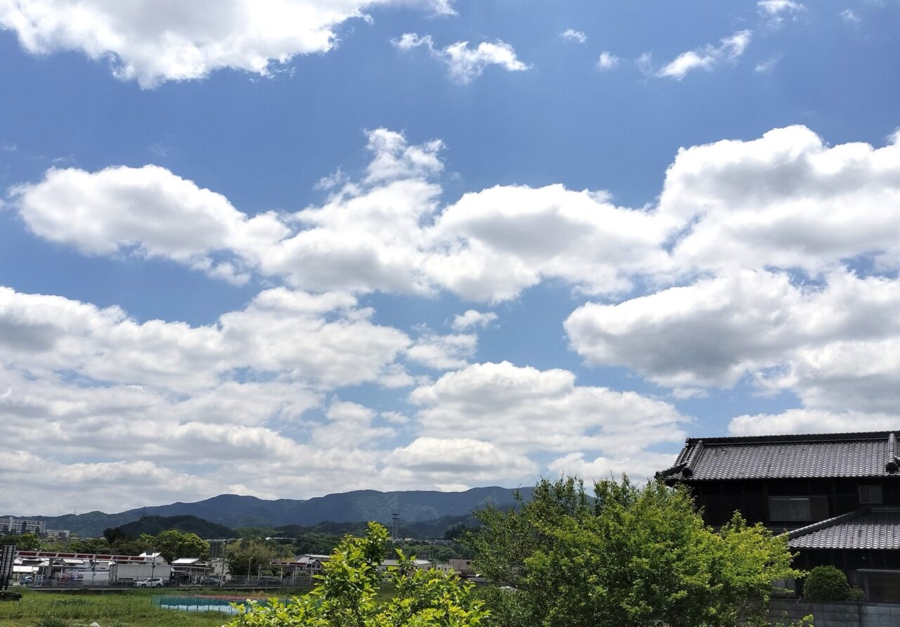 「petit maman marche!（プチママ マルシェ）」と「BRIO MARCHE（ブリオ マルシェ）」